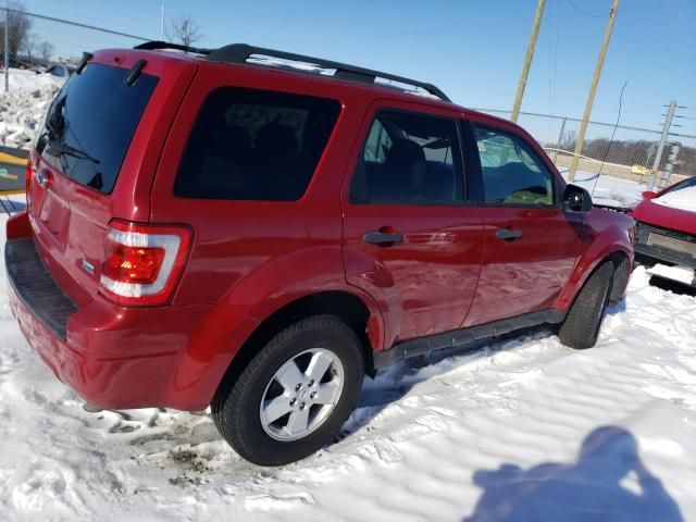 2011 Ford Escape XLT