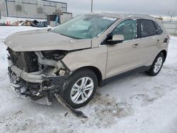 Salvage cars for sale at Bismarck, ND auction: 2020 Ford Edge SEL