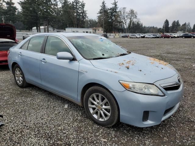 2010 Toyota Camry Hybrid