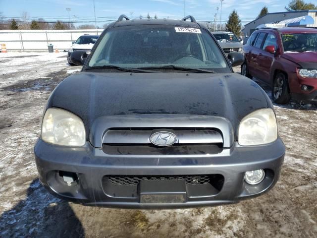 2006 Hyundai Santa FE GLS