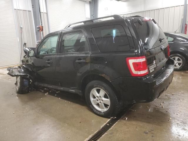 2010 Ford Escape XLT