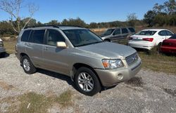 Salvage cars for sale at Apopka, FL auction: 2006 Toyota Highlander Hybrid