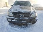 2004 Mercedes-Benz ML 350