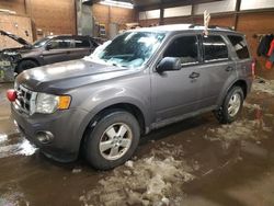 Vehiculos salvage en venta de Copart Ebensburg, PA: 2011 Ford Escape XLT