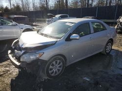 Salvage cars for sale at Waldorf, MD auction: 2010 Toyota Corolla Base