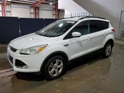 Salvage cars for sale at Ellwood City, PA auction: 2013 Ford Escape SE