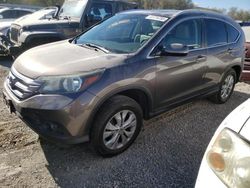 Salvage Cars with No Bids Yet For Sale at auction: 2014 Honda CR-V EXL