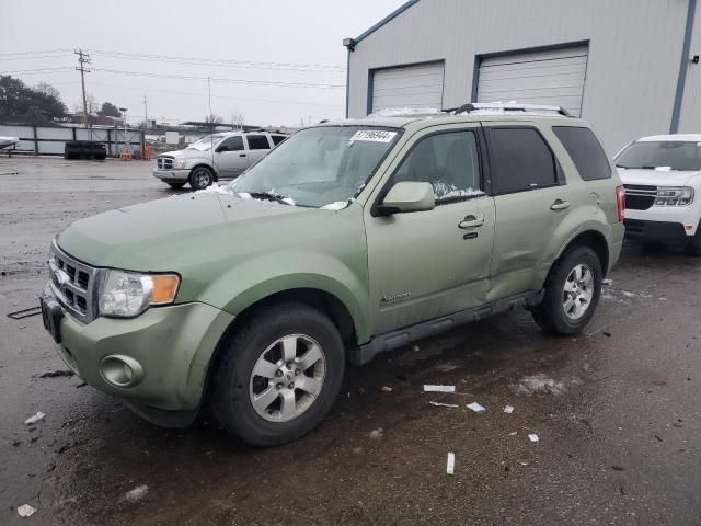 2010 Ford Escape Hybrid