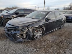 Salvage cars for sale at Hillsborough, NJ auction: 2023 Toyota Camry SE Night Shade