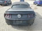 2013 Ford Mustang