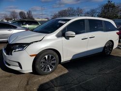 Honda Odyssey exl salvage cars for sale: 2022 Honda Odyssey EXL