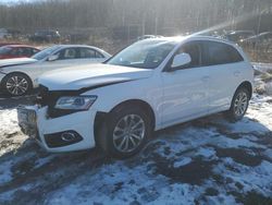 Salvage cars for sale at Baltimore, MD auction: 2016 Audi Q5 Premium Plus