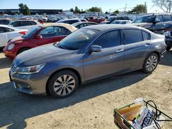 2013 Honda Accord EXL en venta en American Canyon, CA