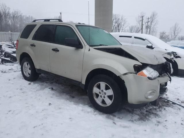 2011 Ford Escape XLT