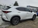 2024 Lexus NX 250 Base