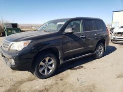 Salvage cars for sale at Albuquerque, NM auction: 2013 Lexus GX 460