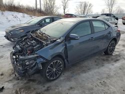 Toyota salvage cars for sale: 2016 Toyota Corolla L