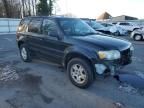 2006 Ford Escape Limited