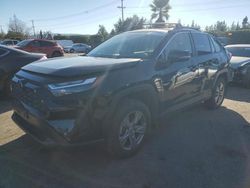 Salvage cars for sale at San Martin, CA auction: 2023 Toyota Rav4 XLE