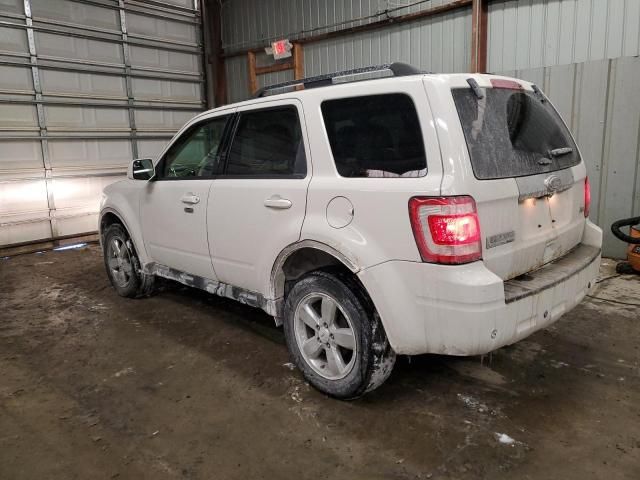 2011 Ford Escape Limited