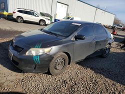 Toyota Corolla Base salvage cars for sale: 2009 Toyota Corolla Base