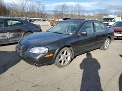 Nissan Maxima salvage cars for sale: 2001 Nissan Maxima GXE