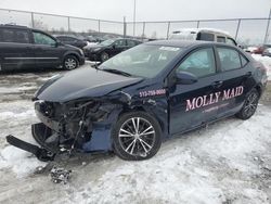 Salvage cars for sale at Moraine, OH auction: 2017 Toyota Corolla L