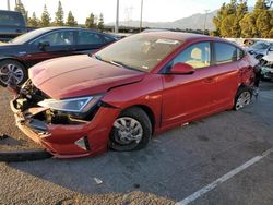 Hyundai Elantra salvage cars for sale: 2020 Hyundai Elantra SE