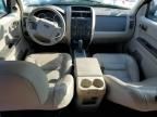 2008 Ford Escape XLS