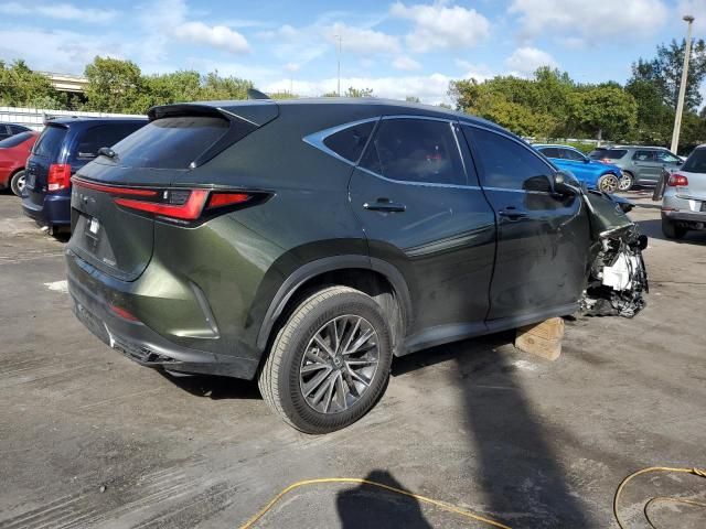 2025 Lexus NX 250 Premium