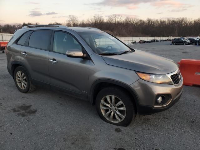 2011 KIA Sorento EX