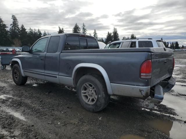 2003 Dodge Dakota SLT