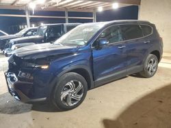 Salvage cars for sale at Tanner, AL auction: 2023 Hyundai Santa FE SEL