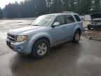 2008 Ford Escape HEV