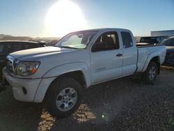 Toyota salvage cars for sale: 2009 Toyota Tacoma Prerunner Access Cab