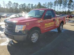 Salvage cars for sale from Copart Harleyville, SC: 2014 Ford F150