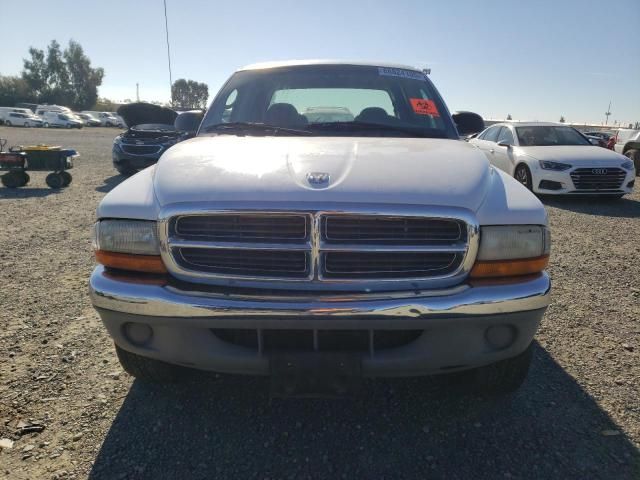 2001 Dodge Dakota Quattro