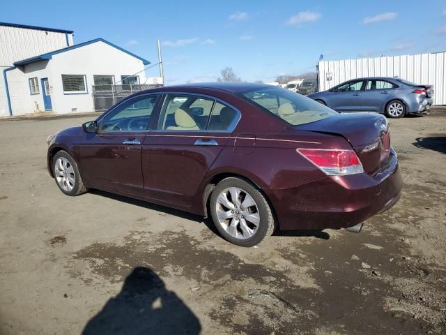 2010 Honda Accord EX