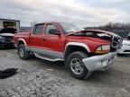 2004 Dodge Dakota Quad SLT