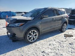 Salvage cars for sale at Wayland, MI auction: 2014 Ford Escape Titanium