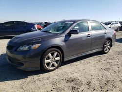 Toyota Camry Base salvage cars for sale: 2009 Toyota Camry Base