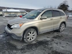 Salvage cars for sale from Copart Grantville, PA: 2008 Honda CR-V EXL