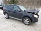 2010 Ford Escape Limited