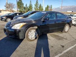 Salvage cars for sale at Rancho Cucamonga, CA auction: 2010 Nissan Altima Base