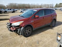 Salvage cars for sale at Conway, AR auction: 2016 Ford Escape SE