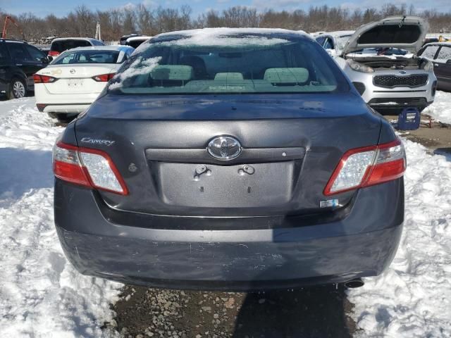 2009 Toyota Camry Hybrid