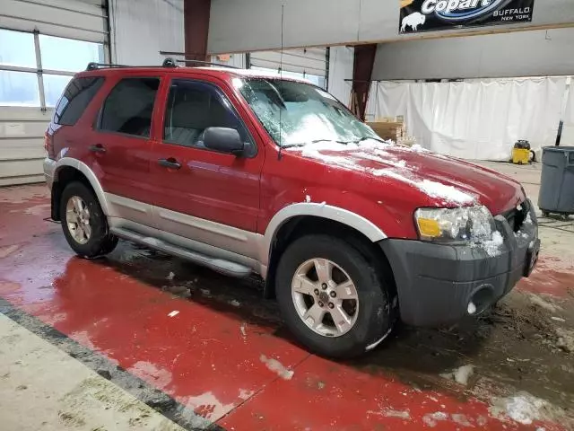 2007 Ford Escape XLT