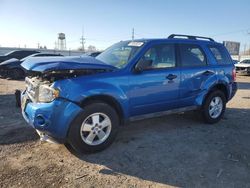 Salvage cars for sale at Dyer, IN auction: 2012 Ford Escape XLT