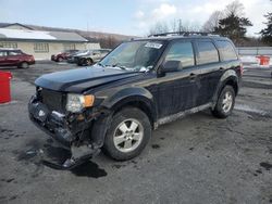 2010 Ford Escape XLT en venta en Grantville, PA