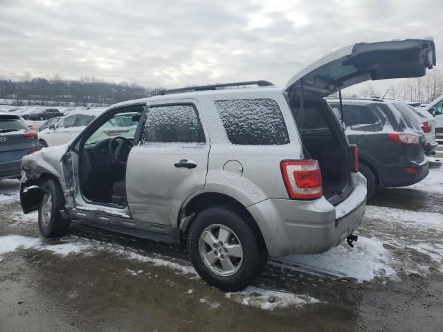 2010 Ford Escape XLT